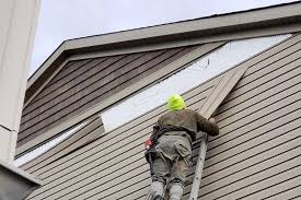 Best Custom Trim and Detailing for Siding  in Frontenac, KS